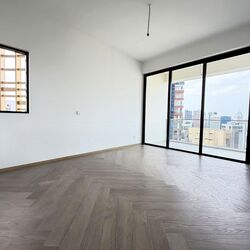 Klimt Cairnhill (D9), Apartment #532251221